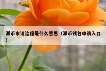 派币申请流程是什么意思（派币钱包申请入口）