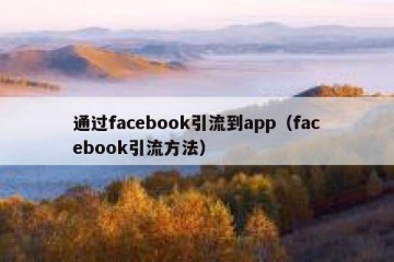 通过facebook引流到app（facebook引流方法）