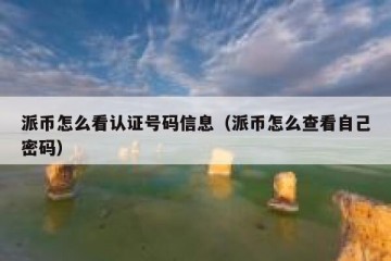 派币怎么看认证号码信息（派币怎么查看自己密码）