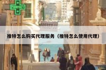 推特怎么购买代理服务（推特怎么使用代理）