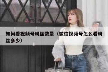 如何看视频号粉丝数量（微信视频号怎么看粉丝多少）