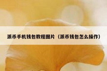 派币手机钱包教程图片（派币钱包怎么操作）