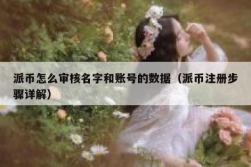 派币怎么审核名字和账号的数据（派币注册步骤详解）