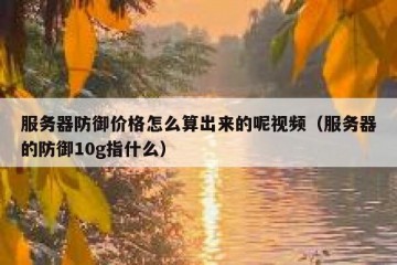 服务器防御价格怎么算出来的呢视频（服务器的防御10g指什么）