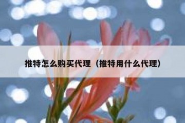 推特怎么购买代理（推特用什么代理）