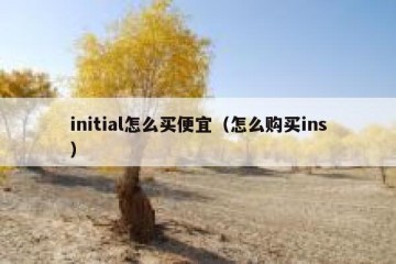 initial怎么买便宜（怎么购买ins）