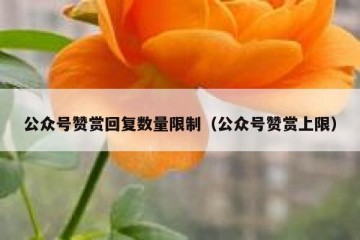 公众号赞赏回复数量限制（公众号赞赏上限）
