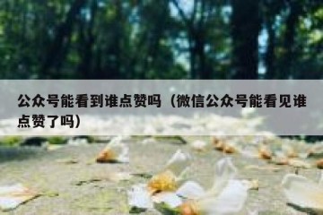 公众号能看到谁点赞吗（微信公众号能看见谁点赞了吗）