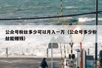 公众号粉丝多少可以月入一万（公众号多少粉丝能赚钱）