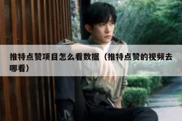 推特点赞项目怎么看数据（推特点赞的视频去哪看）