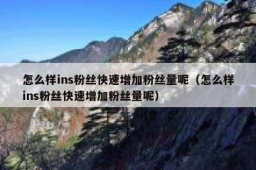 怎么样ins粉丝快速增加粉丝量呢（怎么样ins粉丝快速增加粉丝量呢）