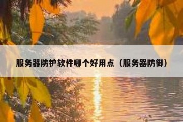 服务器防护软件哪个好用点（服务器防御）