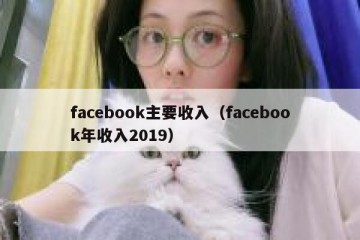 facebook主要收入（facebook年收入2019）