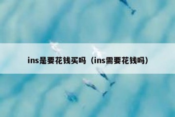 ins是要花钱买吗（ins需要花钱吗）