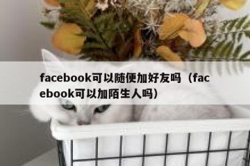 facebook可以随便加好友吗（facebook可以加陌生人吗）