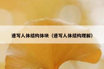 速写人体结构体块（速写人体结构理解）