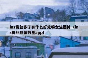 ins粉丝多了有什么好处嘛女生图片（ins粉丝具体数量app）