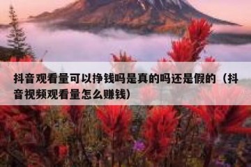 抖音观看量可以挣钱吗是真的吗还是假的（抖音视频观看量怎么赚钱）