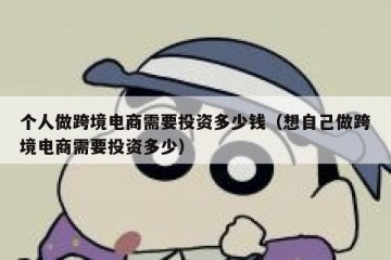个人做跨境电商需要投资多少钱（想自己做跨境电商需要投资多少）