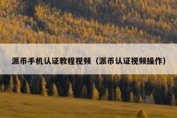 派币手机认证教程视频（派币认证视频操作）