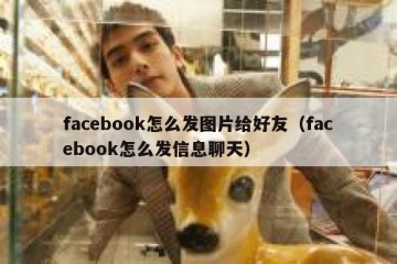 facebook怎么发图片给好友（facebook怎么发信息聊天）