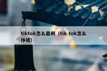 tiktok怎么盈利（tik tok怎么挣钱）