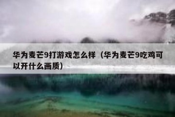 华为麦芒9打游戏怎么样（华为麦芒9吃鸡可以开什么画质）