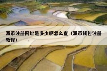 派币注册网址是多少啊怎么查（派币钱包注册教程）