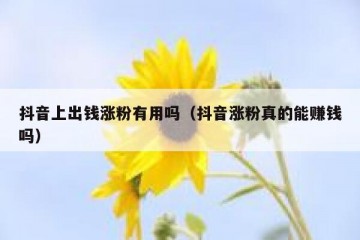抖音上出钱涨粉有用吗（抖音涨粉真的能赚钱吗）