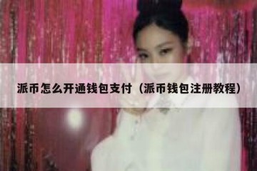 派币怎么开通钱包支付（派币钱包注册教程）