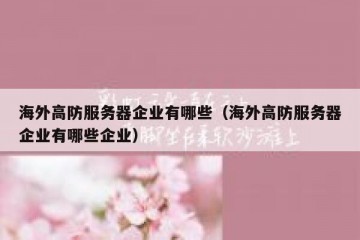 海外高防服务器企业有哪些（海外高防服务器企业有哪些企业）