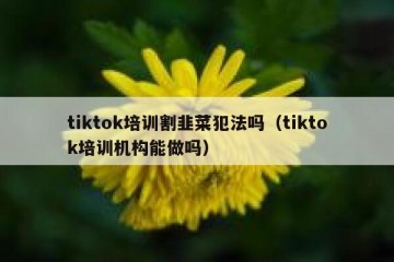 tiktok培训割韭菜犯法吗（tiktok培训机构能做吗）