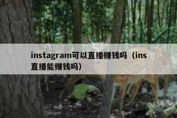 instagram可以直播赚钱吗（ins直播能赚钱吗）