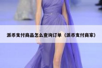 派币支付商品怎么查询订单（派币支付商家）