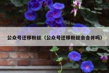 公众号迁移粉丝（公众号迁移粉丝会合并吗）