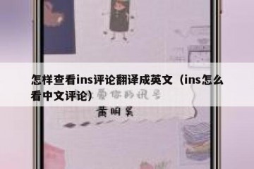 怎样查看ins评论翻译成英文（ins怎么看中文评论）