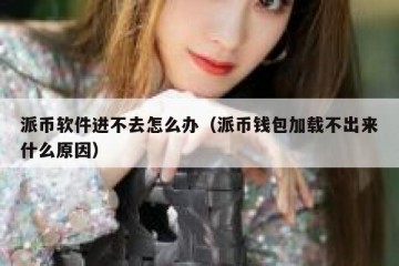 派币软件进不去怎么办（派币钱包加载不出来什么原因）