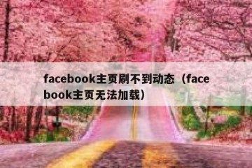 facebook主页刷不到动态（facebook主页无法加载）