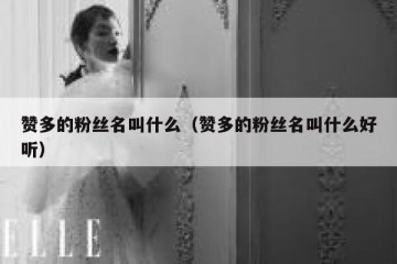 赞多的粉丝名叫什么（赞多的粉丝名叫什么好听）