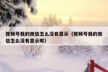 视频号我的微信怎么没有显示（视频号我的微信怎么没有显示呢）