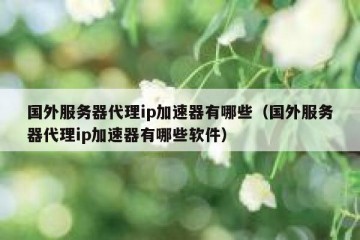 国外服务器代理ip加速器有哪些（国外服务器代理ip加速器有哪些软件）