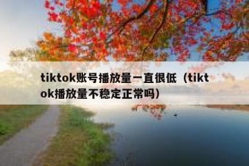 tiktok账号播放量一直很低（tiktok播放量不稳定正常吗）