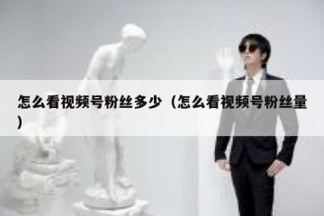 怎么看视频号粉丝多少（怎么看视频号粉丝量）