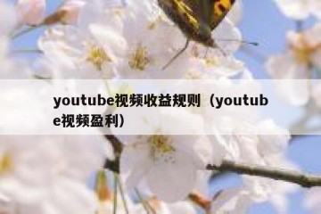 youtube视频收益规则（youtube视频盈利）