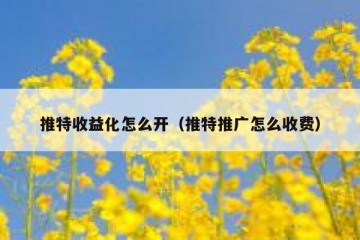 推特收益化怎么开（推特推广怎么收费）