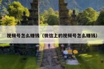 视频号怎么赚钱（微信上的视频号怎么赚钱）