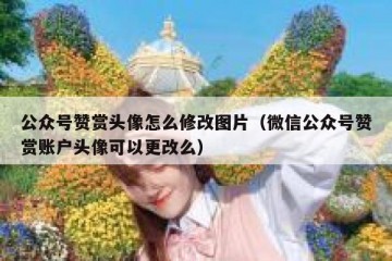 公众号赞赏头像怎么修改图片（微信公众号赞赏账户头像可以更改么）