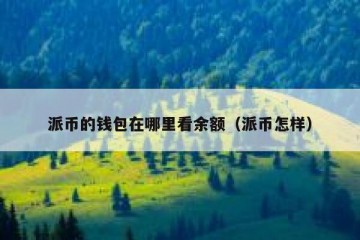 派币的钱包在哪里看余额（派币怎样）