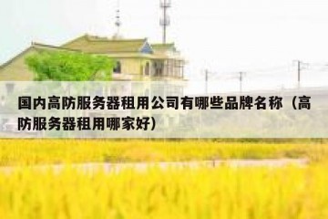 国内高防服务器租用公司有哪些品牌名称（高防服务器租用哪家好）
