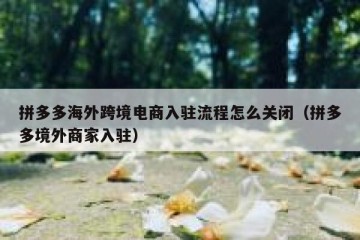 拼多多海外跨境电商入驻流程怎么关闭（拼多多境外商家入驻）